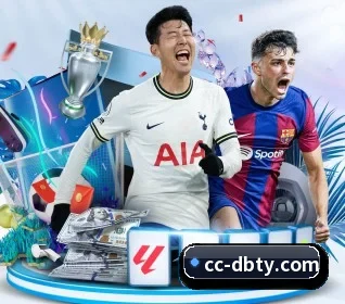 DB体育 APP